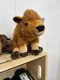Charger l'image dans la visionneuse de la galerie, Bisons en peluche